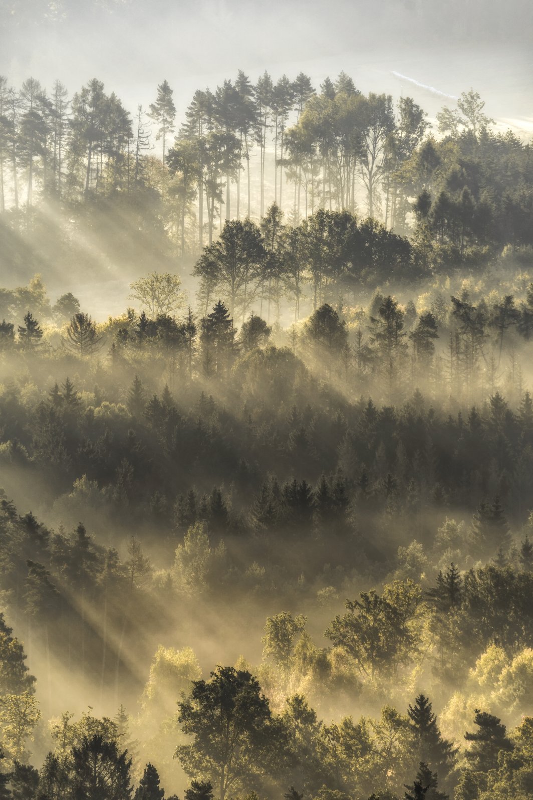 South Bohemian Region